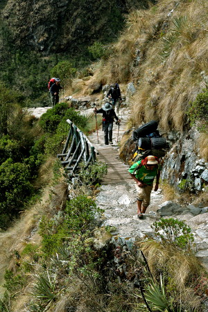 Camino Inca > 'Inca Trail' #53